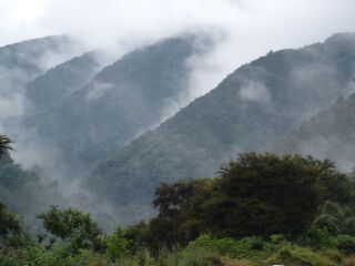 尤瑞瓦拉国家公园