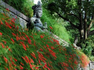 淡水缘道观音庙