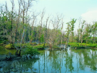 好美里自然生态保护区