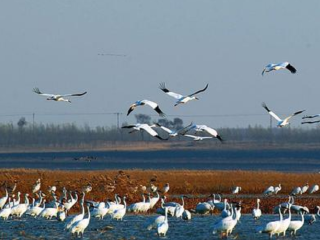 莫莫格国家级自然保护区