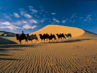 阿拉善沙漠地质公园