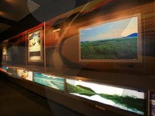 顺天湾自然生态馆