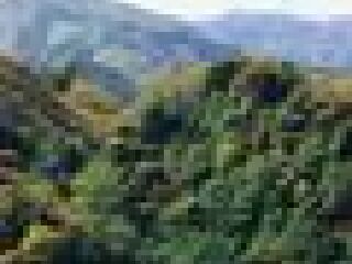 仙鹤坪自然保护区