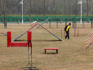 泰州凤城河田园牧歌景区