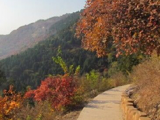 北京西山国家森林公园