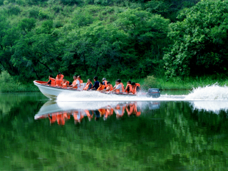 大青沟自然保护区
