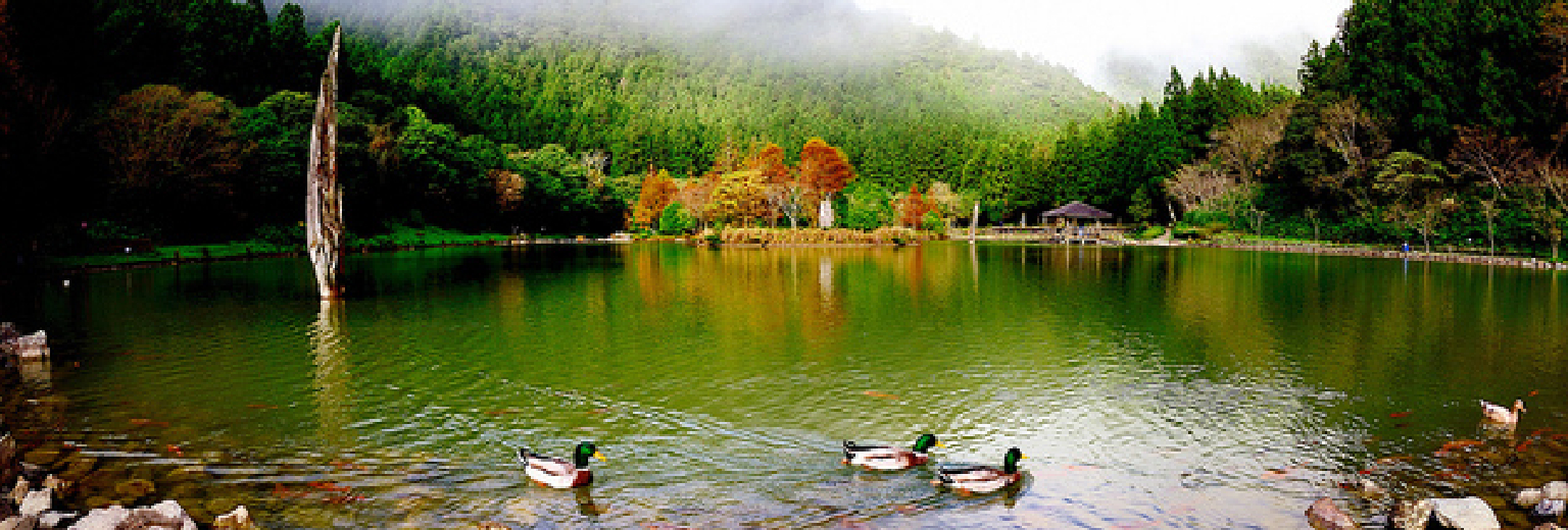 高山明珠旅游攻略