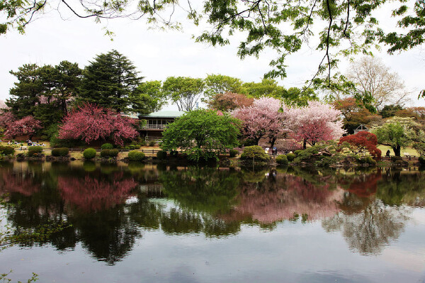 新宿御苑游玩攻略