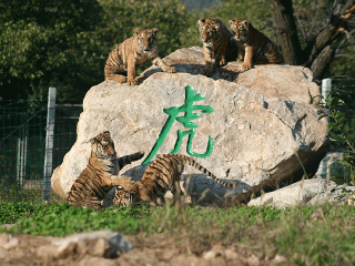 秦岭野生动物园