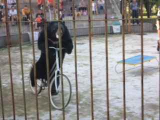 厦门海沧野生动物园