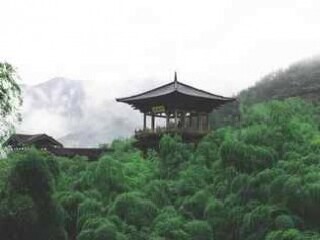 湖州长兴大唐贡茶院