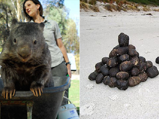 巴拉瑞特野生动物园