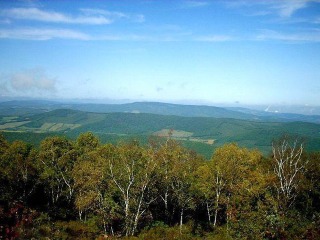 石龙山森林公园