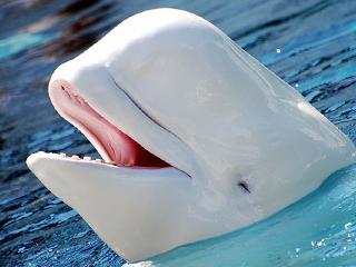 屏东国立海洋生物博物馆