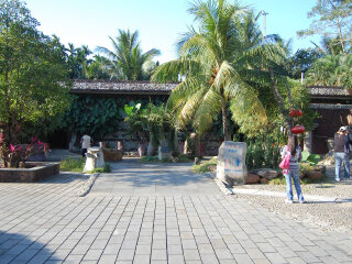 兴隆南国热带雨林