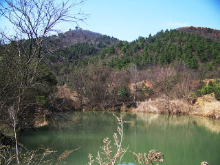 龙泉山风景区