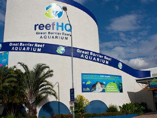 汤斯维尔珊瑚礁水族馆