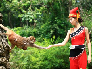 南宁隆安龙虎山