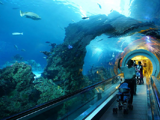 屏东国立海洋生物博物馆