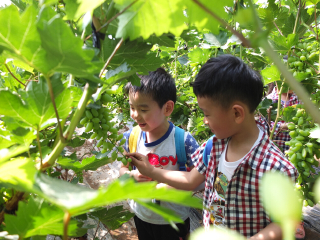大梨树生态农业观光旅游区