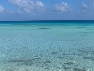 土阿莫土-甘比尔