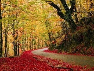 岗山国家森林公园