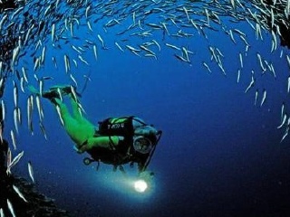 汤斯维尔珊瑚礁水族馆