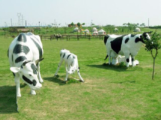 淳化山田牛奶园景区