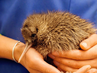 柳岸野生动物保护区