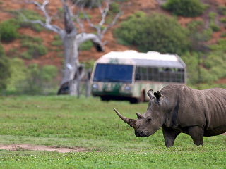 华勒比开放式动物园