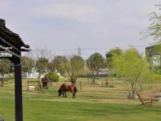 上海蓝莓文化体验园