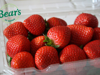 大熊家的草莓店