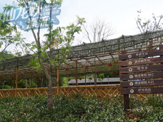 湖州安吉仙龙峡漂流