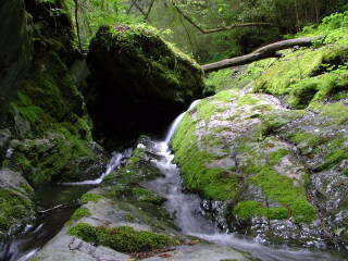 五龙洞国家森林公园