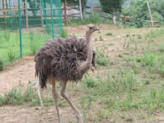 花果山神秘谷风景区