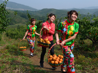 大梨树生态农业观光旅游区