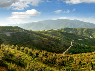 大梨树生态农业观光旅游区