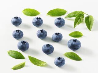 上海蓝莓文化体验园