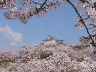 津山城·鹤山公园