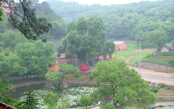 地址:辽宁省铁岭市开原东南松山堡乡境内象牙山风景区位于辽宁省开原