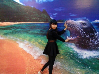 北京西三旗3D魔幻艺术馆