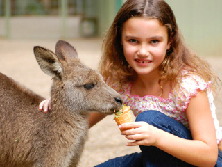 凯恩斯热带动物园