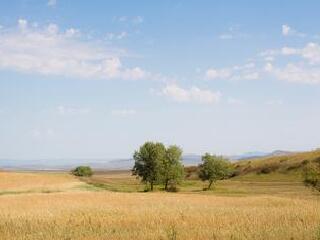 北奥塞梯-阿兰共和国