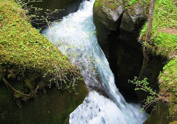 白山長白山梯子河旅遊圖片