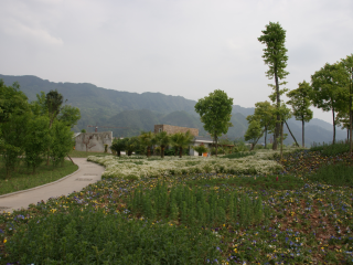 重庆花样龙水湖