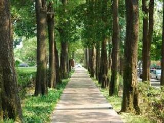 台中经国绿园道