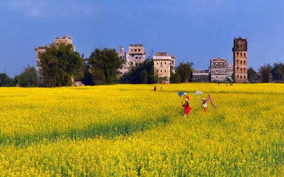 地址:广东省开平市塘口镇自力村碉楼