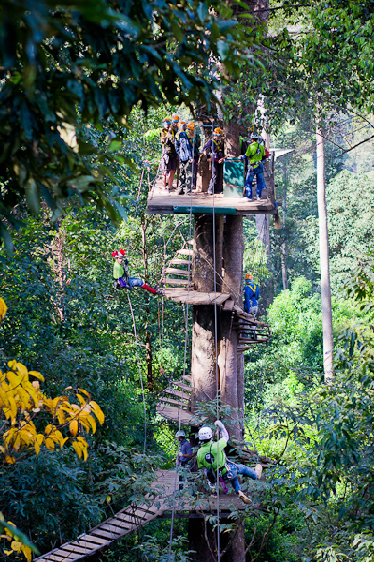 泰国清迈丛林飞跃jungle flight