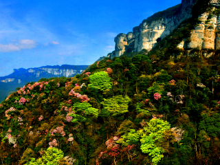 金佛山