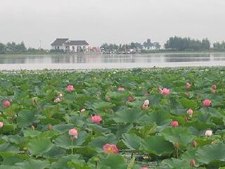 方正莲花湖公园